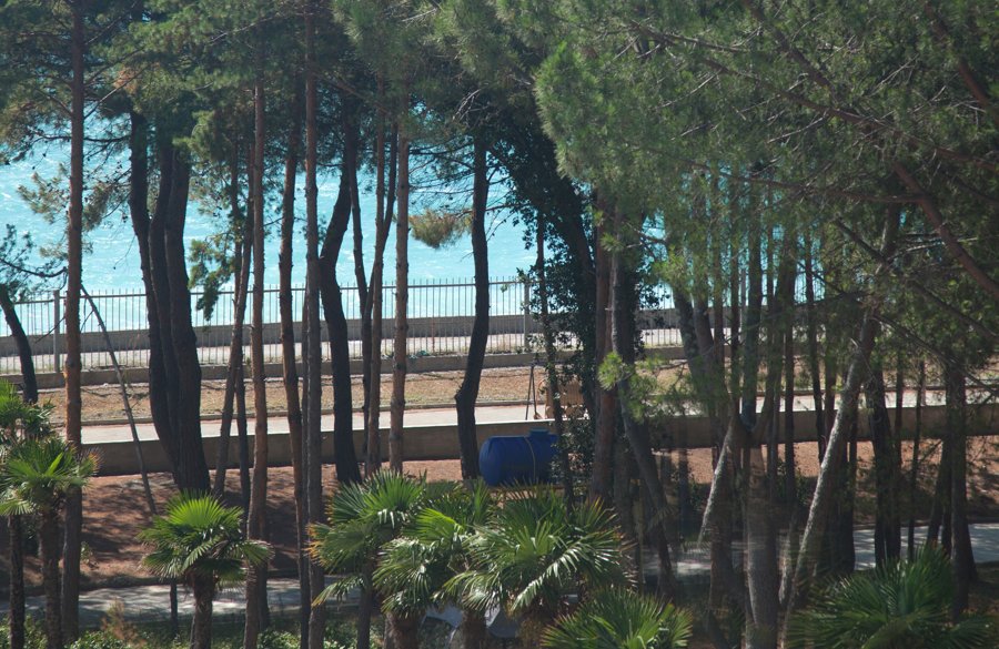 Wellness Park Hotel Gagra